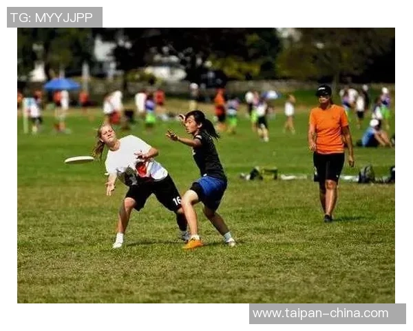 深圳飞盘队耐力对比独家深度分析与解读